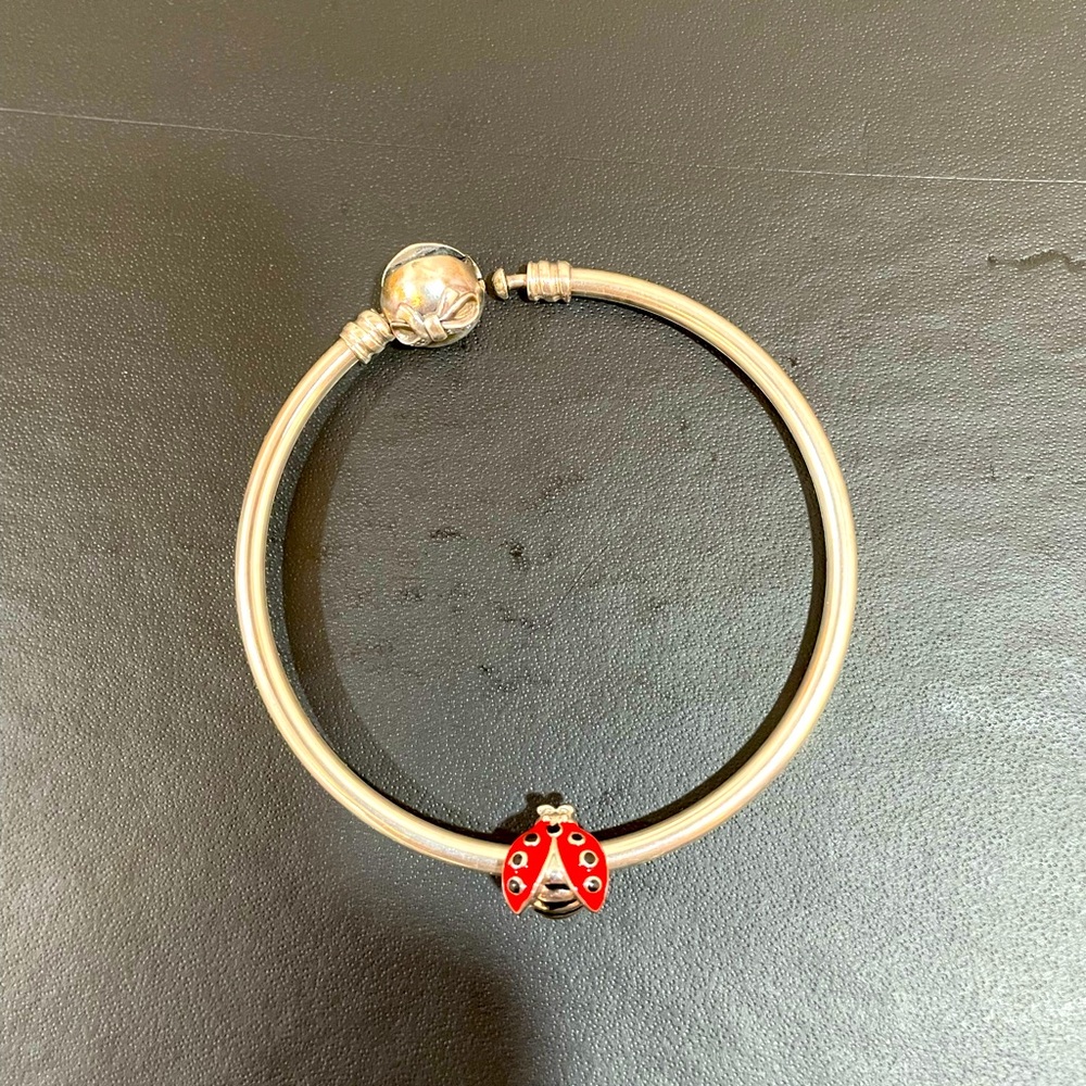 Pandora bracelet